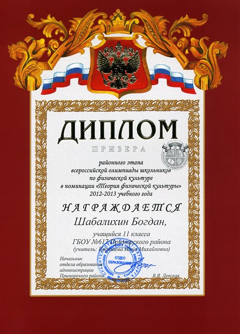 Шабалихин РО физкультура 2012-2013